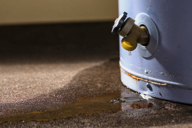 Carpet water damage restoration in NY