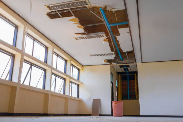 Best 24/7 water damage repair  in Crown Heights, NY