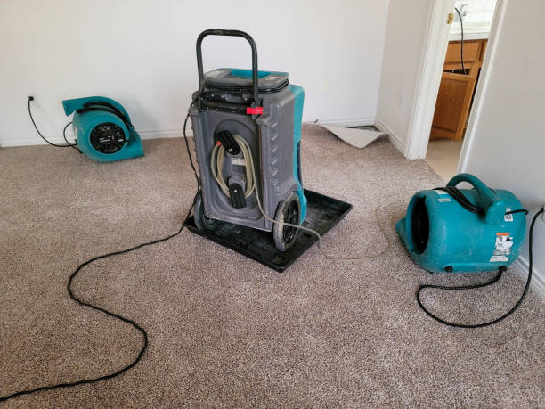Best 24-hour water damage restoration  in Crown Heights, NY