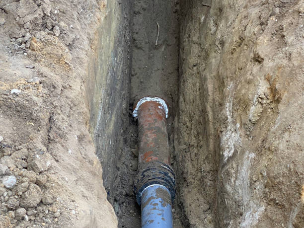 Best Flood damage cleanup  in Crown Heights, NY