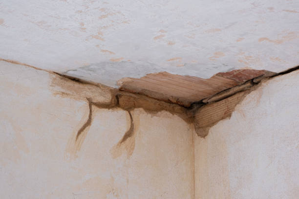 Best Basement water damage restoration  in Crown Heights, NY