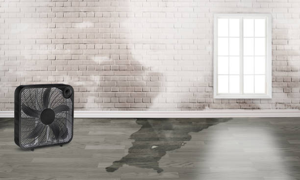 Best Commercial water damage restoration  in Crown Heights, NY