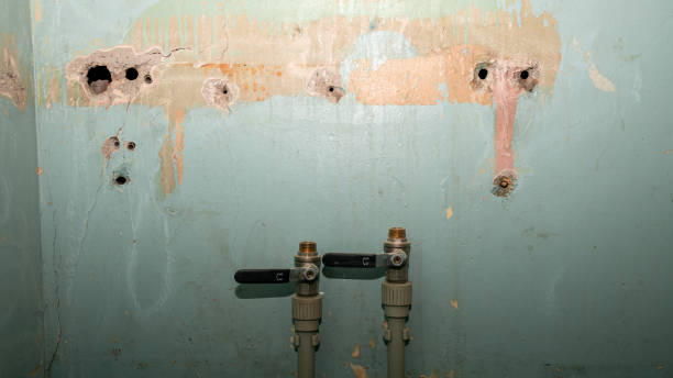 Best Water damage restoration process  in Crown Heights, NY