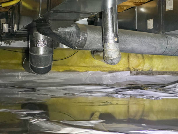 Best Ceiling water damage repair  in Crown Heights, NY