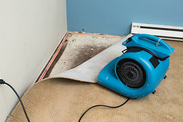 Best Sewage cleanup and water damage restoration  in Crown Heights, NY